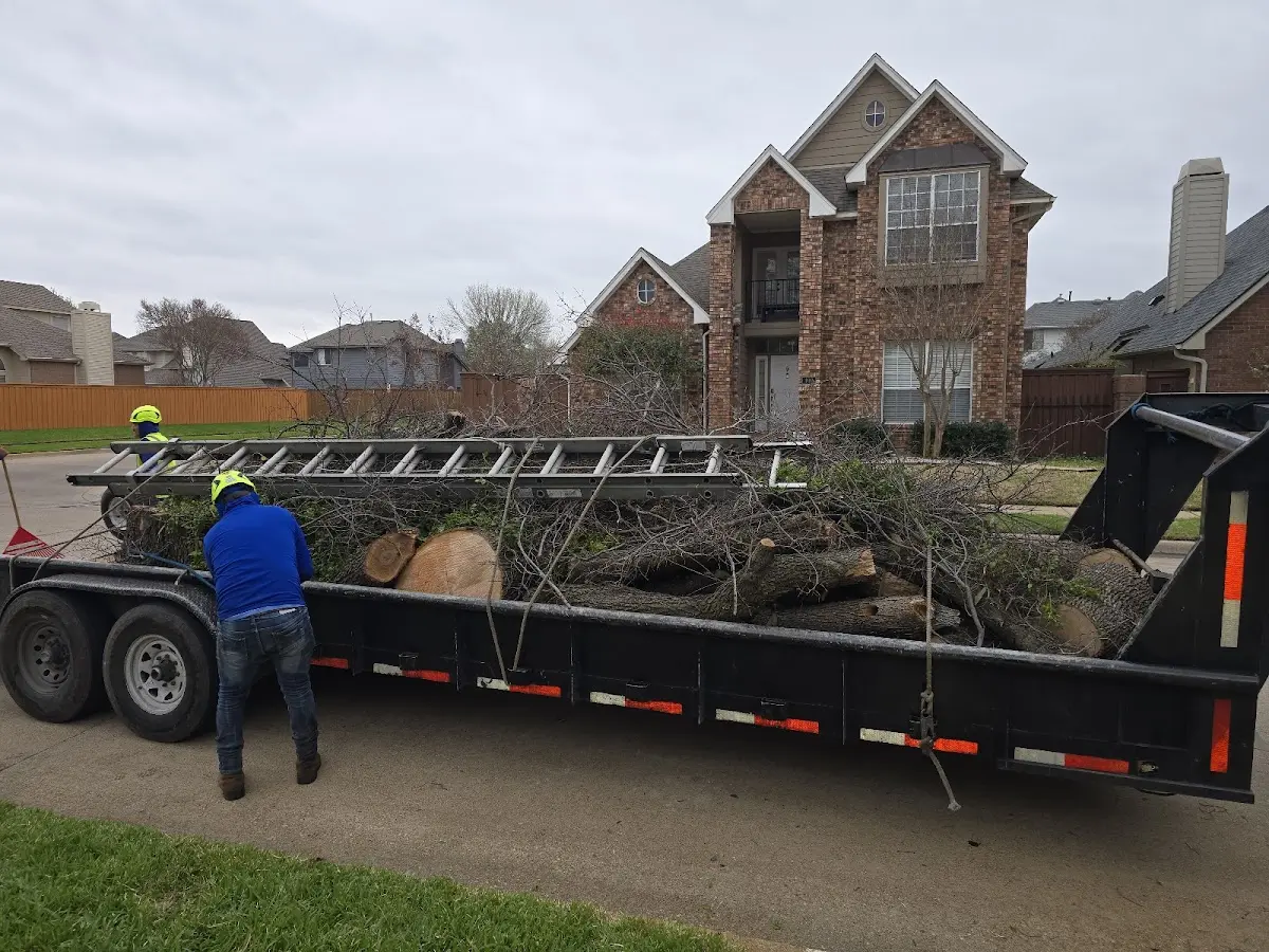 Expert Crown Reduction with proper safety equipment in Prairie City